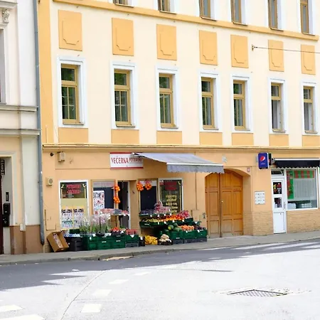 Apartment Luxury Three-bedroom Teplice
